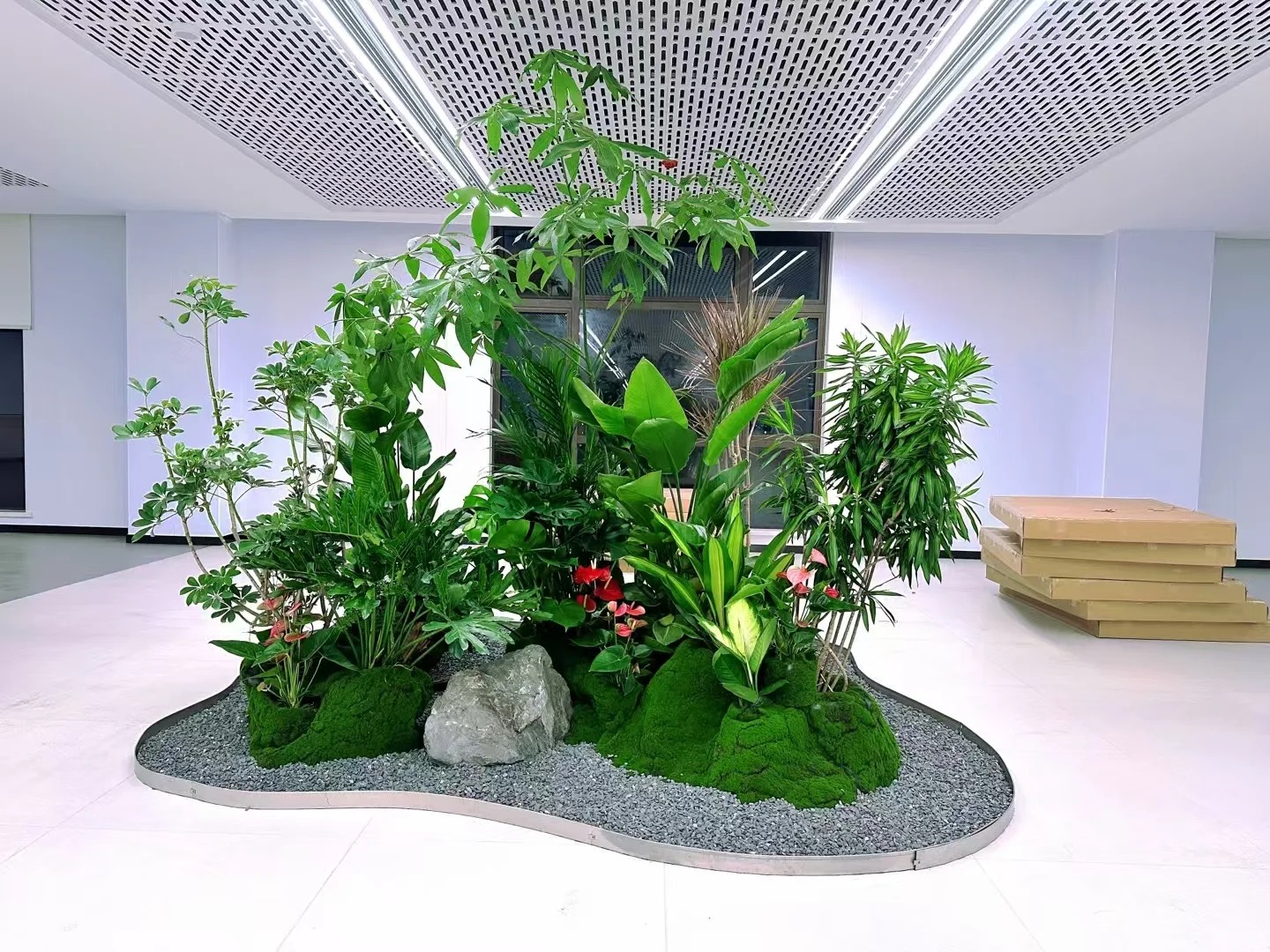 专业盆景租摆,领略宁波北仑风情